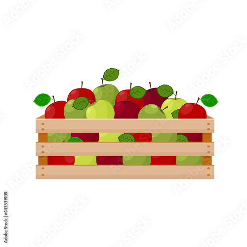 A bright summer illustration depicting a wooden box with ripe green and red apples. The harvested harvest of juicy apples in a wooden box. Vector illustration isolated on a white background