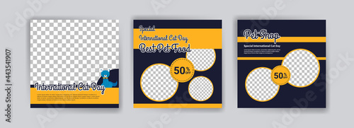 international Cat day. Pet shop square banner template. Promotional Banner for social media ads, web ads, business messages, discount flyers and big sale banners.