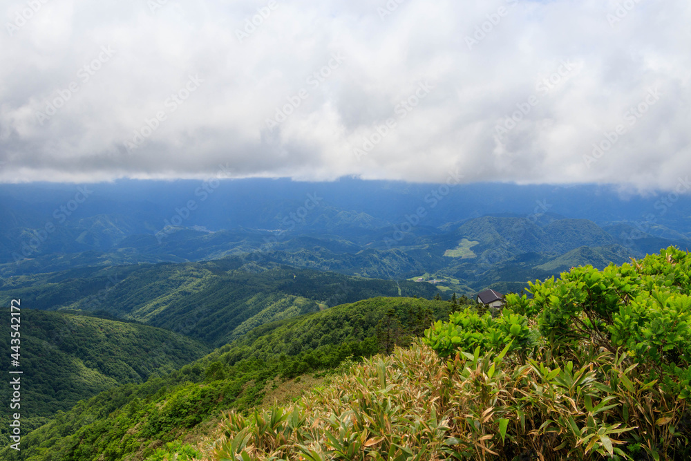 広大な山と森林 秋田県 7月 広大な山と森林 秋田県 7月