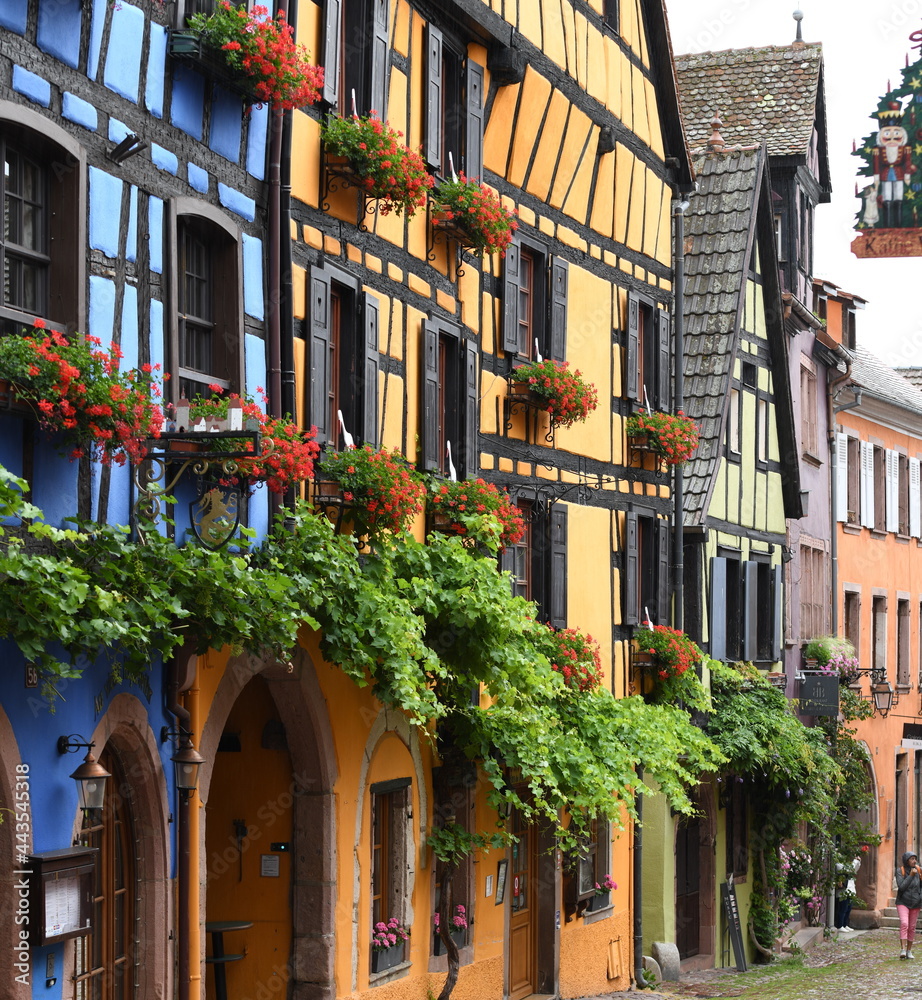 Fototapeta premium Riquewihr