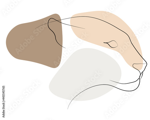 Leopard line, vector, abstract portrait, pattern background