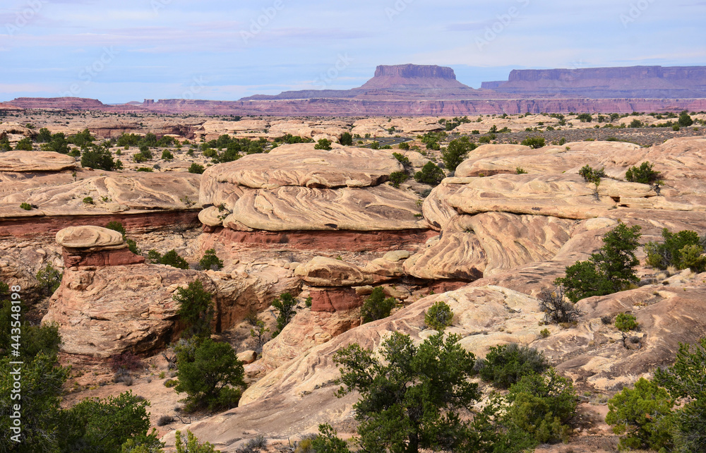 dramatically eroded rock formations and buttes spring canyon along the slickrock trail in the needles district of canyonlands national park, near moab, utah 