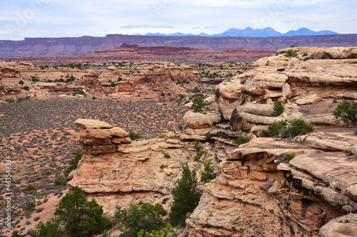 magnicently eroded  colorful  spring canyon and the la sal mountains along the slickrock foot trail in the needles district in canyonlands national park  near moab  utah 