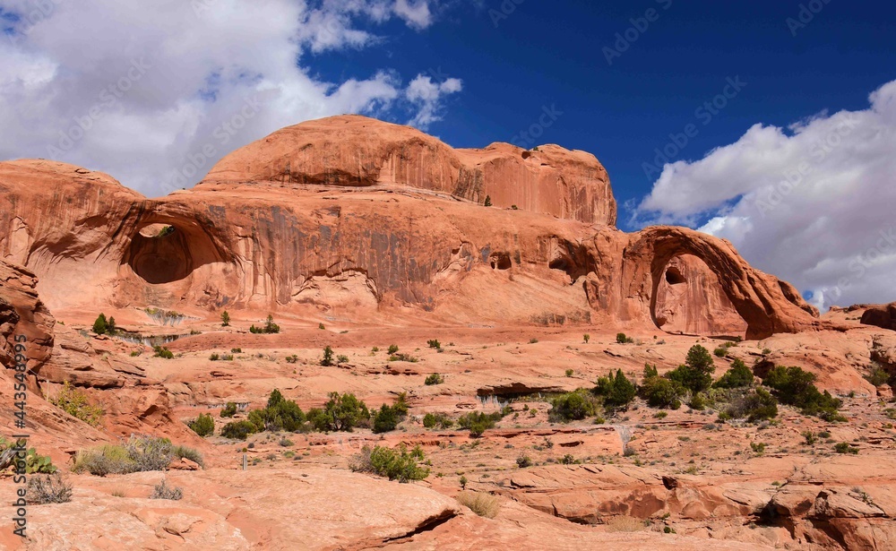  scenic bowtie arch and corona arch on a sunny day in a side canyon of the colorado river,  near moab, utah