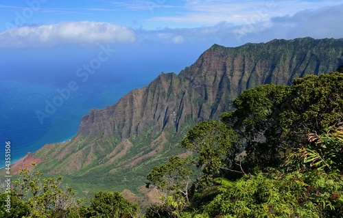 panoramic view of kalalau valley and the pacific ocean from pu'u o kila overlook, kauai, hawaii