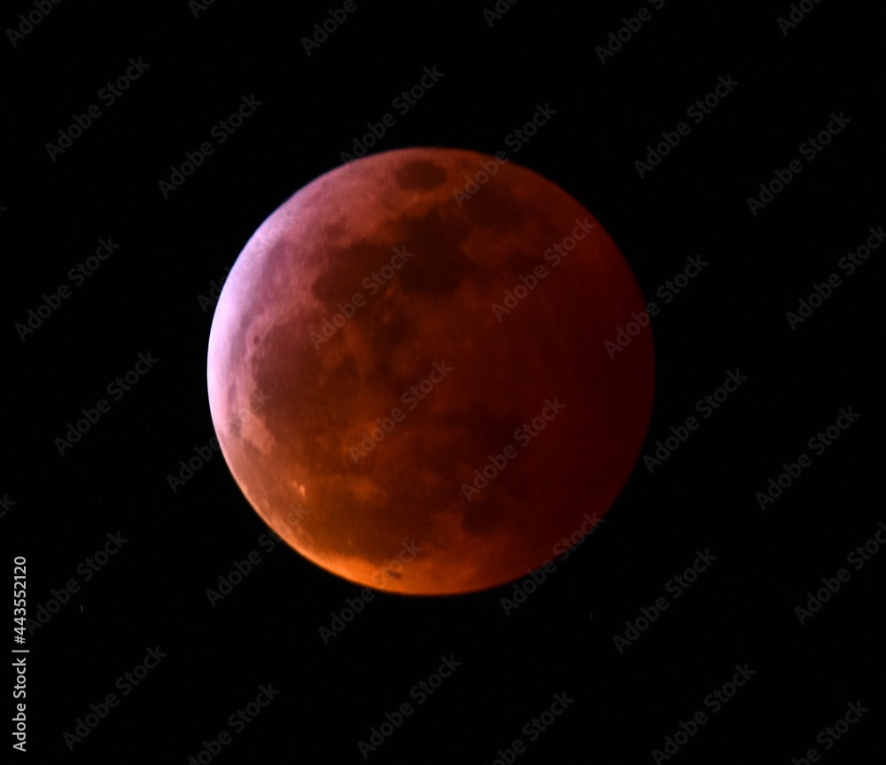 the super blood wolf moon  lunar eclipse of january 2019