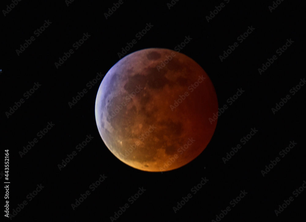 the super blood wolf moon  lunar eclipse of january 2019