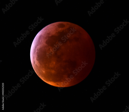 the super blood wolf moon  lunar eclipse of january 2019