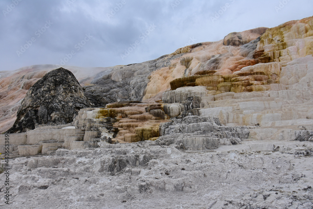 the colorful travertine terraces of minerva terrace in summer at mammoth hot springs in yellowstone national park, wyoming