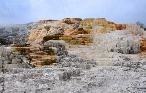the colorful travertine terraces of minerva terrace in summer at mammoth hot springs in yellowstone national park, wyoming