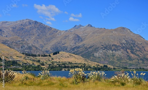 the west shore of lake hayes and native toetoe grass, with coronet peak in the background, as seen from the lake hayes  circuit, near queenstown, on the south island of new zealand  photo