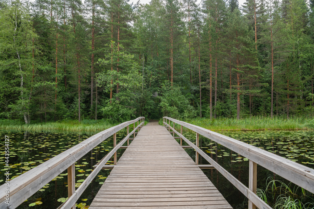 View of the wooden bridge over Haukkalampi pond in summer, Nuuksio National Park, Espoo, Finland View of the wooden bridge over Haukkalampi pond in summer, Nuuksio National Park, Espoo, Finland
