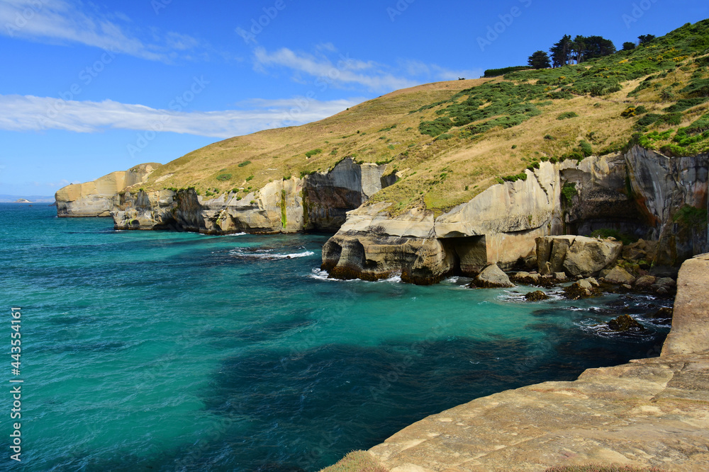 Fototapeta premium the picturesque coastline of tunnel beach on a sunny summer day, near dunedin, on the south island of new zealand