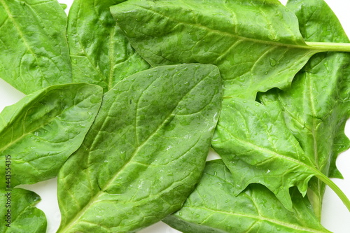 Fresh green spinach on white background.