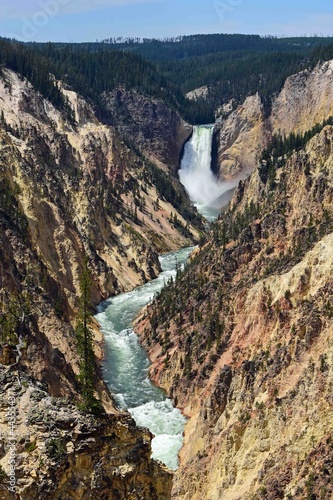 lower yellowstone falls in the grand canyon of the yellowstone, in yellowstone national park, wyoming, from artist point