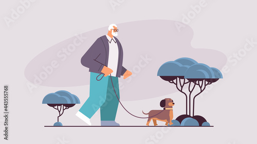 active senior man walking in park with his little dog grandfather relaxing with pet horizontal