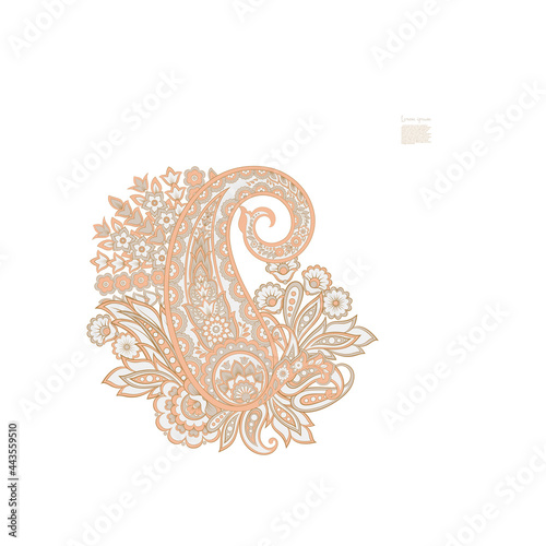 Damask Paisley Floral isolated vector ornament