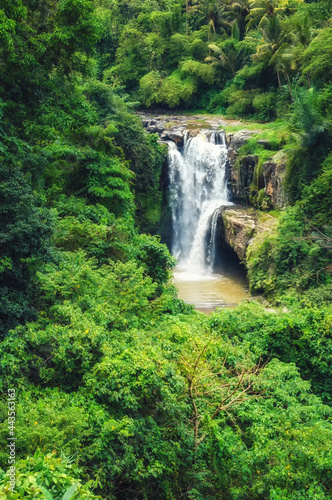 Tegalalang Waterfall landscape near Ubud, Bali, Indonesia photo