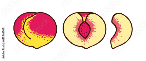 Whole peach and two types of slices isolated on white. Half and slice of peach. Vector illustration with texture.