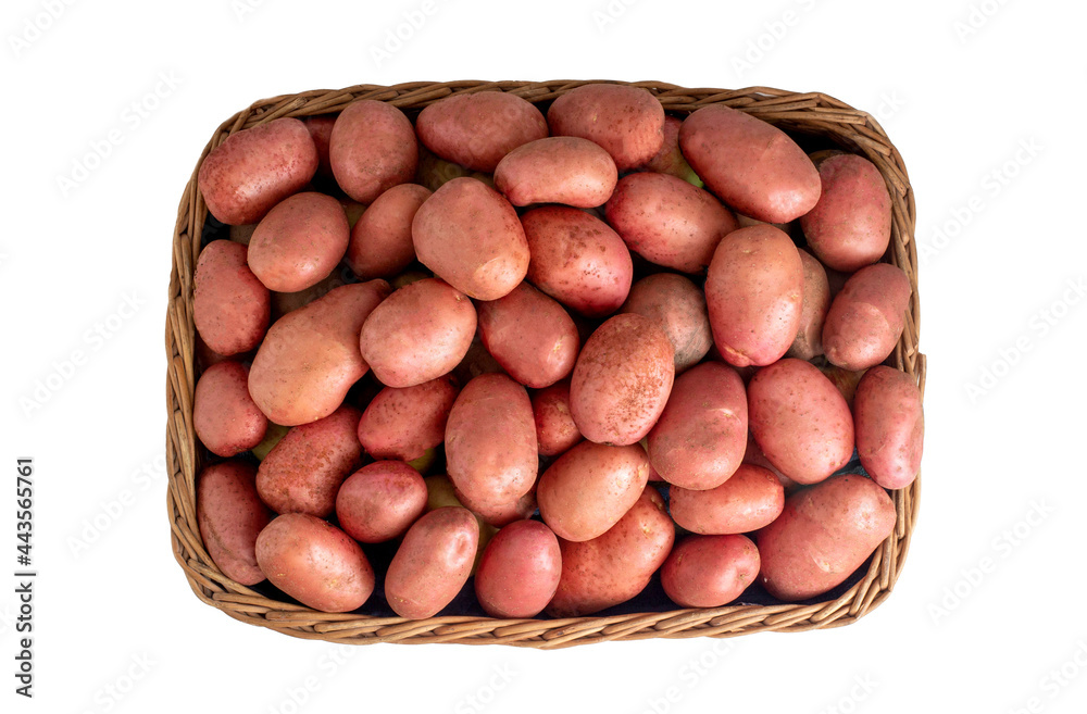 Basket with potatoes with red peel on a white background, isolate. Organic natural vegetables, farming