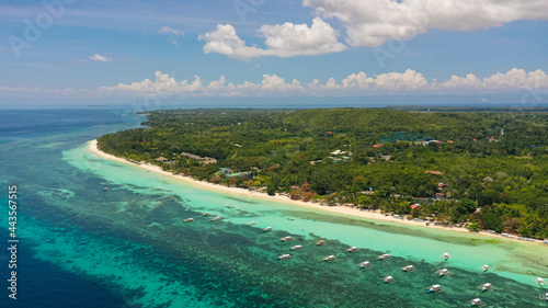 Coast with Sandy beach and turquoise water. Bohol  Panglao island  Philippines. Summer and travel vacation concept.