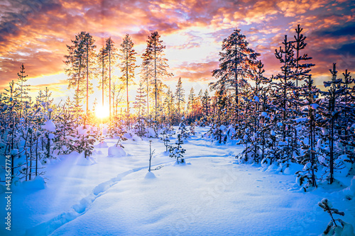 Winter landscape in the Swedish Lapland, Sweden