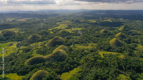 Famous Chocolate Hills natural landmark  Bohol island  Philippines. Hills among farmlands.