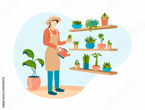 Woman in hat waters indoor flowers. Female character with sprinkler and apron stands near rack with cacti. Growing exotic plants for beauty and home interior. Vector flat illustration
