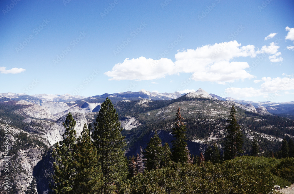 USA, CALIFORNIA: Scenic landscape view of Yosemite National Park with pines
