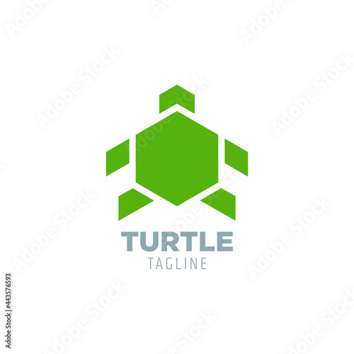 turtle logo design with geometry