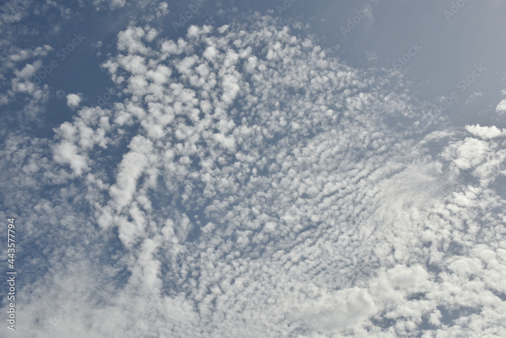 The sky with clouds in the morning, evening. The sky with clouds in the morning, evening.