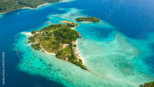 Island with beautiful beach  palm trees by turquoise water view from above. Malipano island  Philippines  Samal.