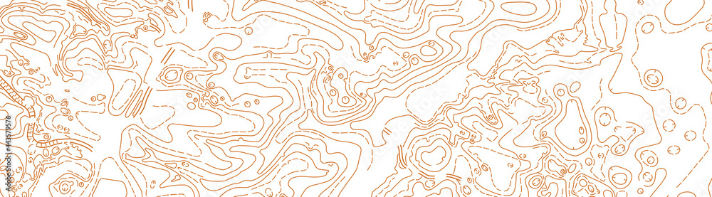 Abstract vector topographic map on white background