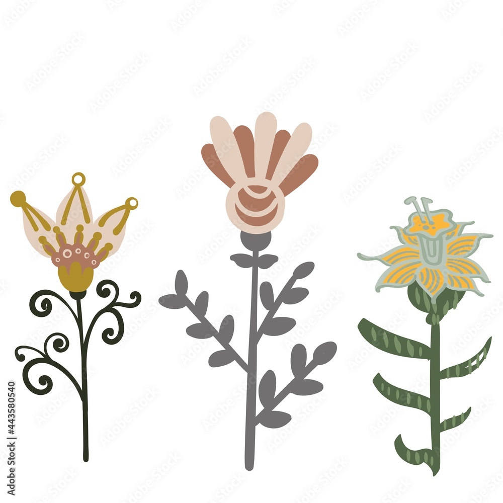 Fototapeta premium decorative flowers leaves and items to create postcards and patterns