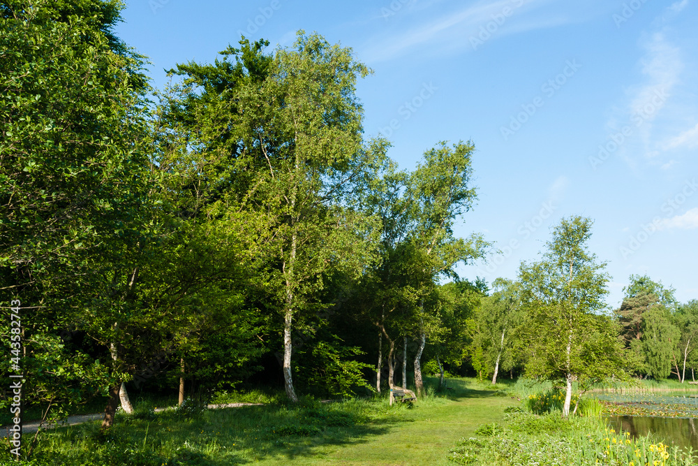 Landscape at Duinen van Oostvoorne Landscape at Duinen van Oostvoorne