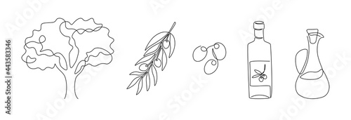Continuous line olives. Line art glass bottle of olive oil, tree and branch, cooking ingredient. Vector isolated one line set