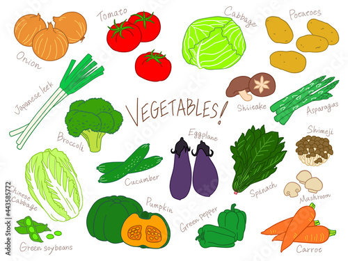 Vegetables vector illustration set.
