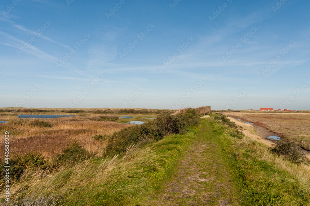 Getijdengebied, Tidal plains