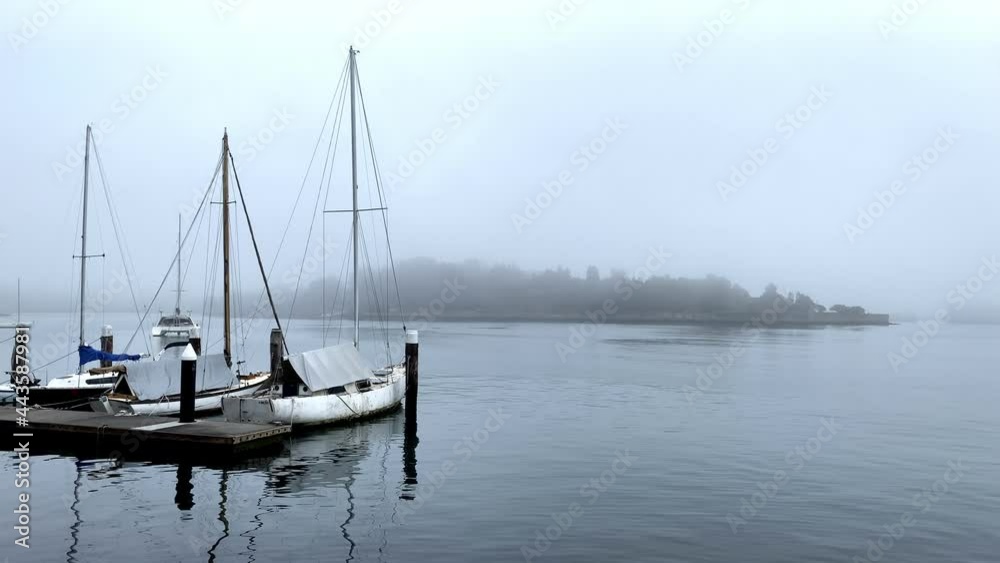 Boats Moored In Marina On A Misty Morning In Balmain East, Sydney, NSW, Australia. - wide shot Boats Moored In Marina On A Misty Morning In Balmain East, Sydney, NSW, Australia. - wide shot
