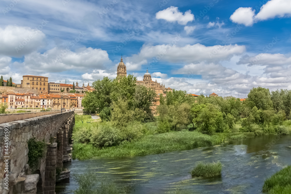 Majestic view at the gothic building at the Salamanca cathedral tower cupola dome and University of Salamanca tower cupola dome, surrounding vegetation, roman bridge and tormes river