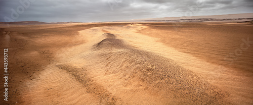 Panorama image of sand dunes in the Namib desert along the Atlantic coast