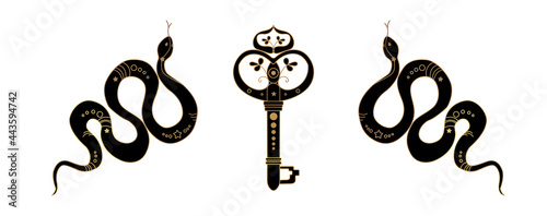 The golden snake is mystical. Golden Key. Sketchy drawing, drawing vector illustration. Fashion illustration. Bohemian style. Magic occult pattern, esoteric boho style.