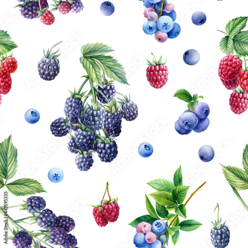 Seamless pattern  berry background of blackberries  raspberries and blueberries  watercolor botanical illustration