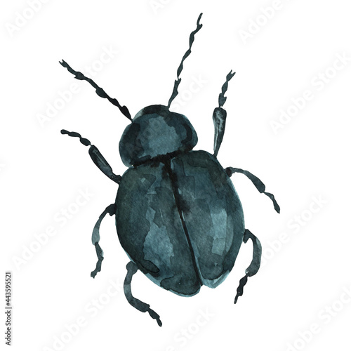 Wallpaper Mural Stag beetle