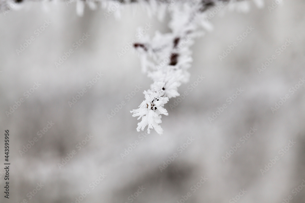 winter day after a snowfall