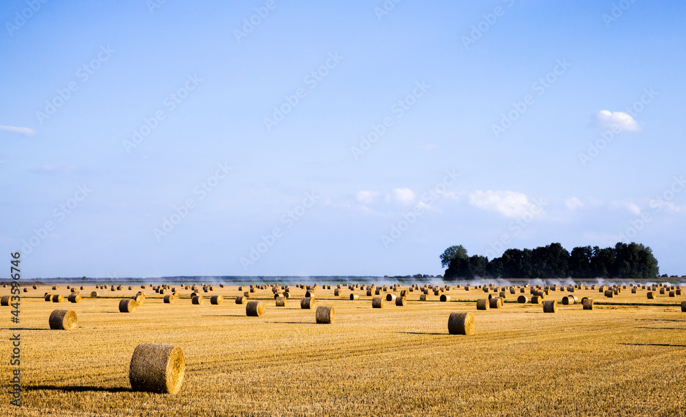 stacks of wheat straw