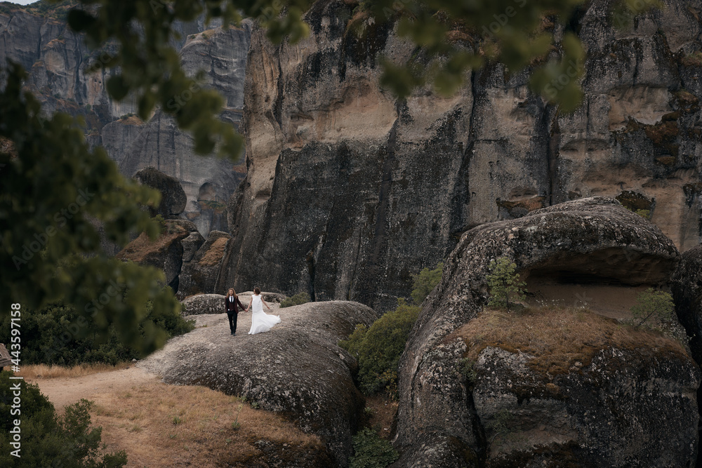 Obraz premium wedding photo shoot of a young couple on a background of green trees in the mountains