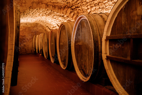 Old aged traditional wooden barrels with wine in a vault lined up in cool and dark cellar in Italy  Porto  Portugal  France