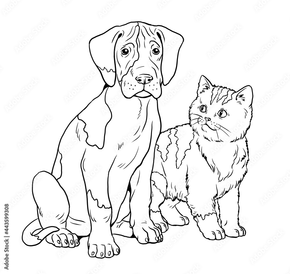 Friends puppy and kitten. Cute Great Dane. Coloring template. Digital illustration.	

