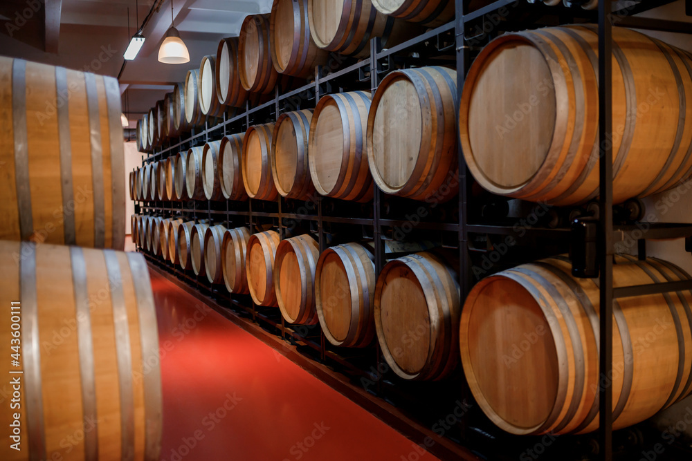 Old aged traditional wooden barrels with wine in a vault lined up in cool and dark cellar in Italy, Porto, Portugal, France Old aged traditional wooden barrels with wine in a vault lined up in cool and dark cellar in Italy, Porto, Portugal, France